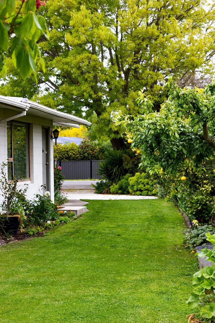 Bed and Breakfast Magnolia House Blenheim Exterior foto