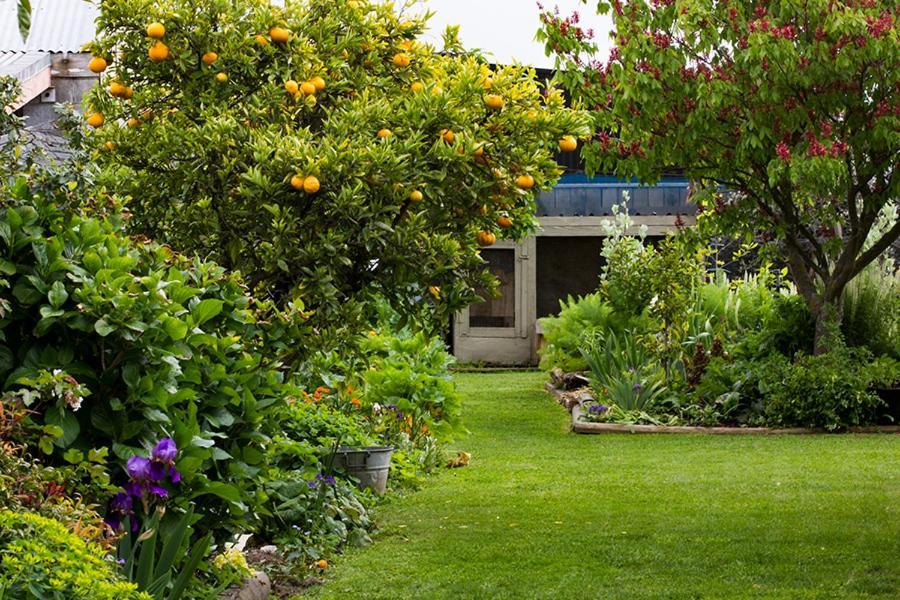 Bed and Breakfast Magnolia House Blenheim Exterior foto