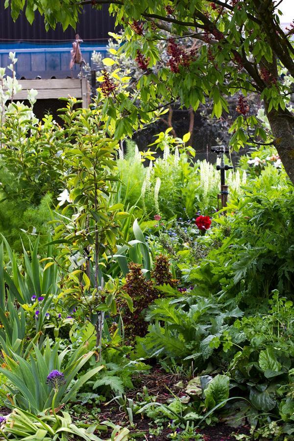 Bed and Breakfast Magnolia House Blenheim Exterior foto