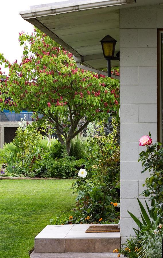 Bed and Breakfast Magnolia House Blenheim Exterior foto