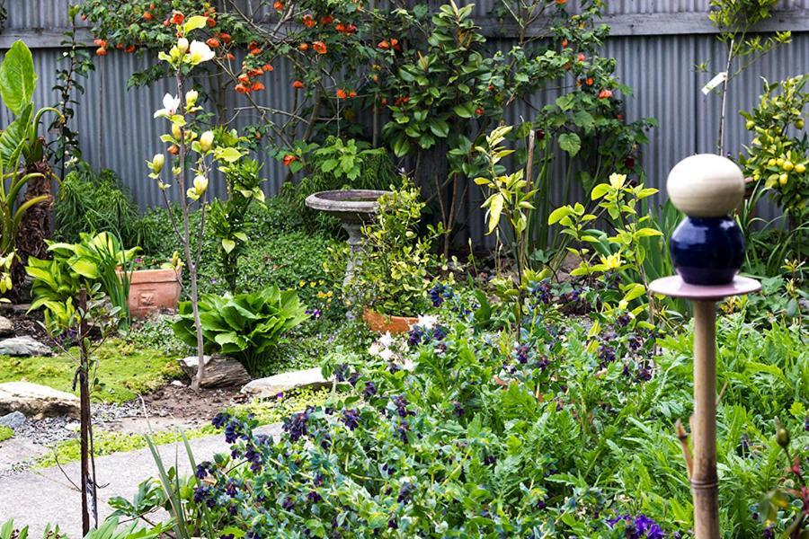 Bed and Breakfast Magnolia House Blenheim Exterior foto