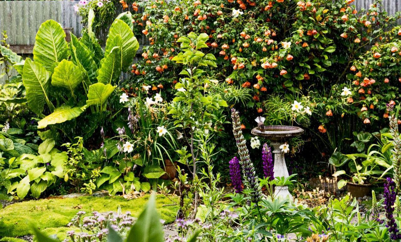 Bed and Breakfast Magnolia House Blenheim Exterior foto