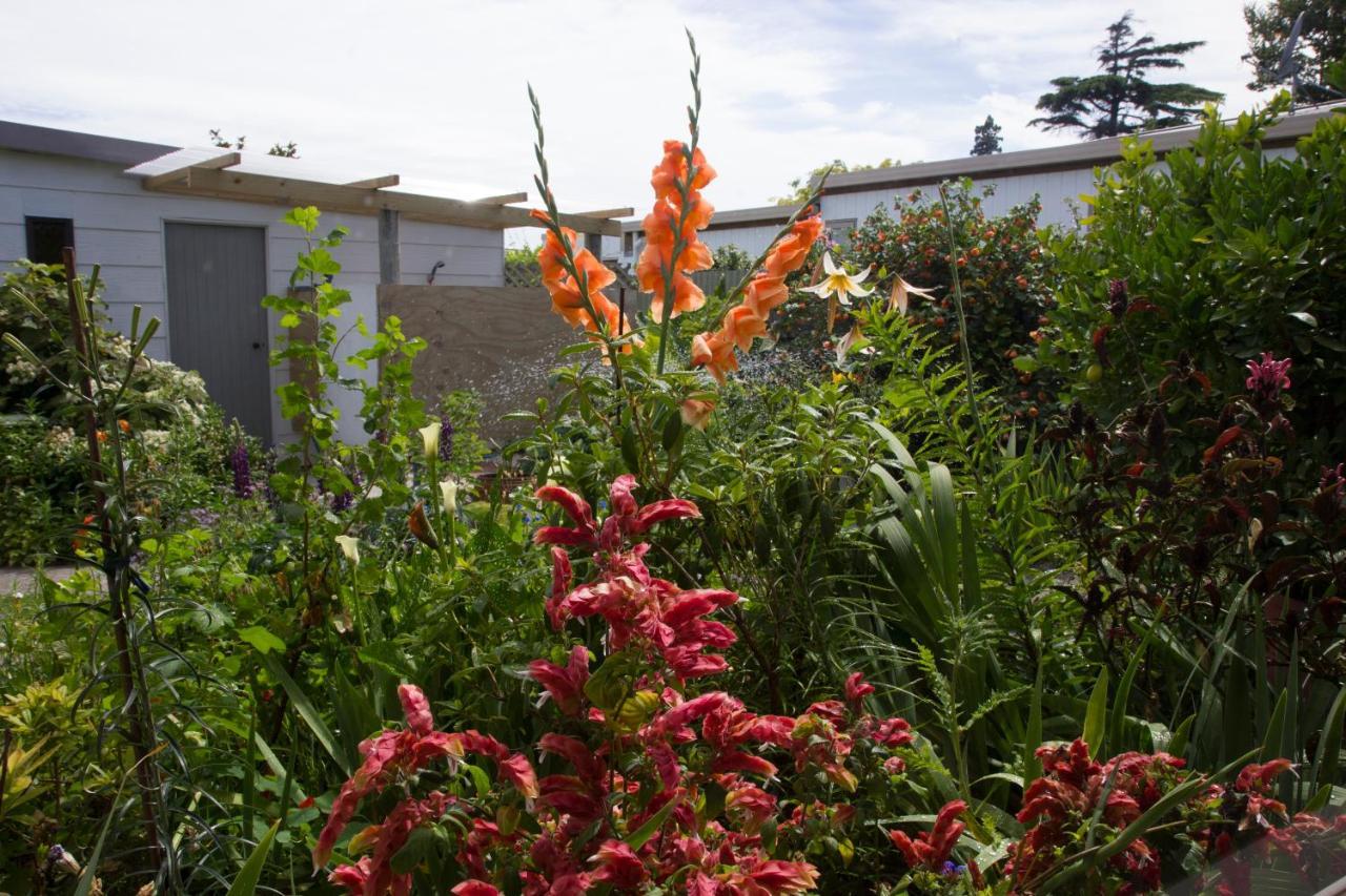 Bed and Breakfast Magnolia House Blenheim Exterior foto