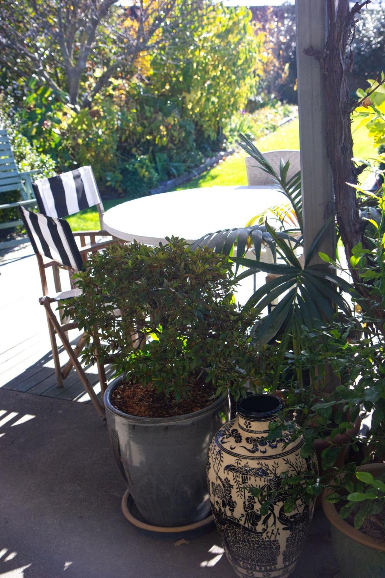 Bed and Breakfast Magnolia House Blenheim Exterior foto